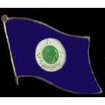 MINNESOTA PIN STATE FLAG PIN